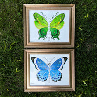 Original Butterfly Watercolor (Set of 2 Framed Paintings)