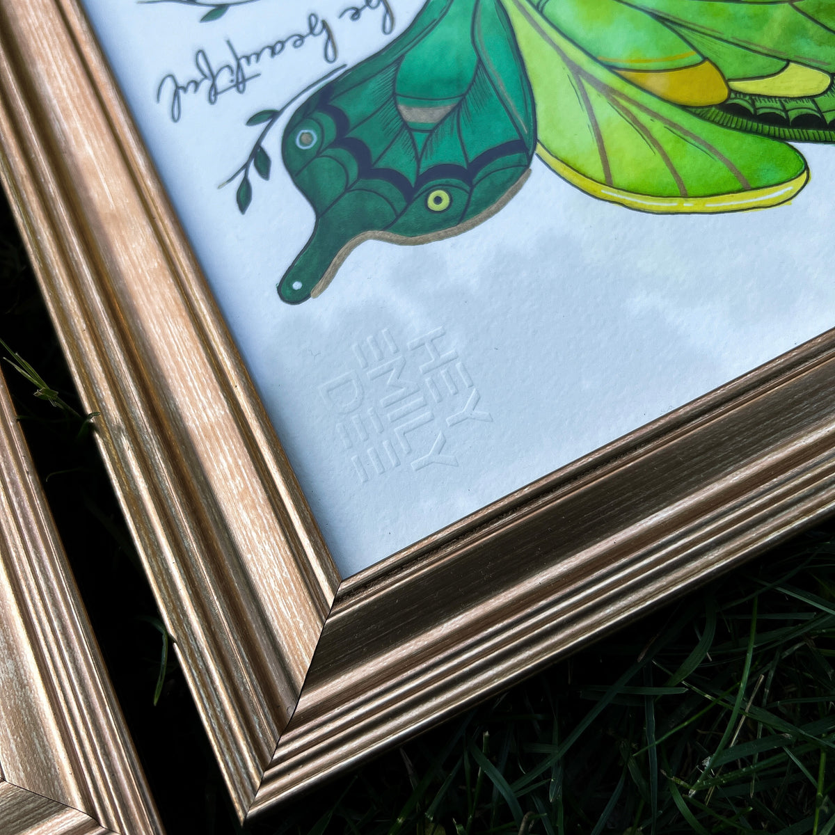 Original Butterfly Watercolor (Set of 2 Framed Paintings)