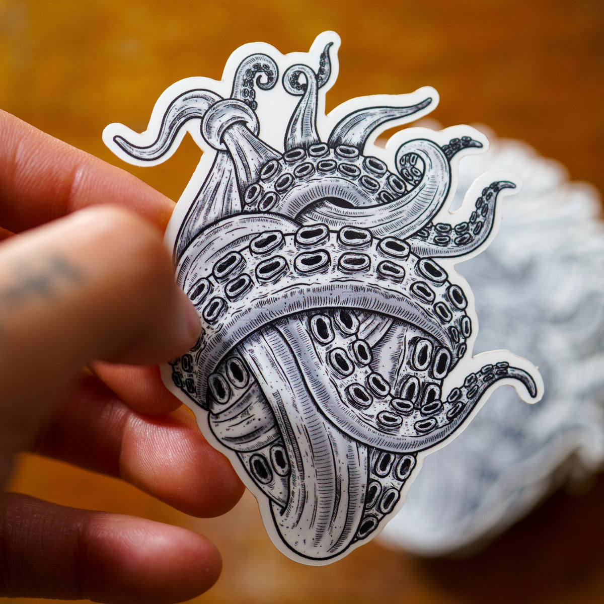 Anatomical Heart Series (Set of 4 Stickers)