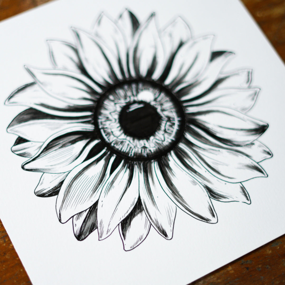 Sunflower Eye Original Drawing