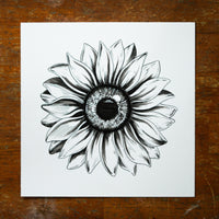 Sunflower Eye Original Drawing