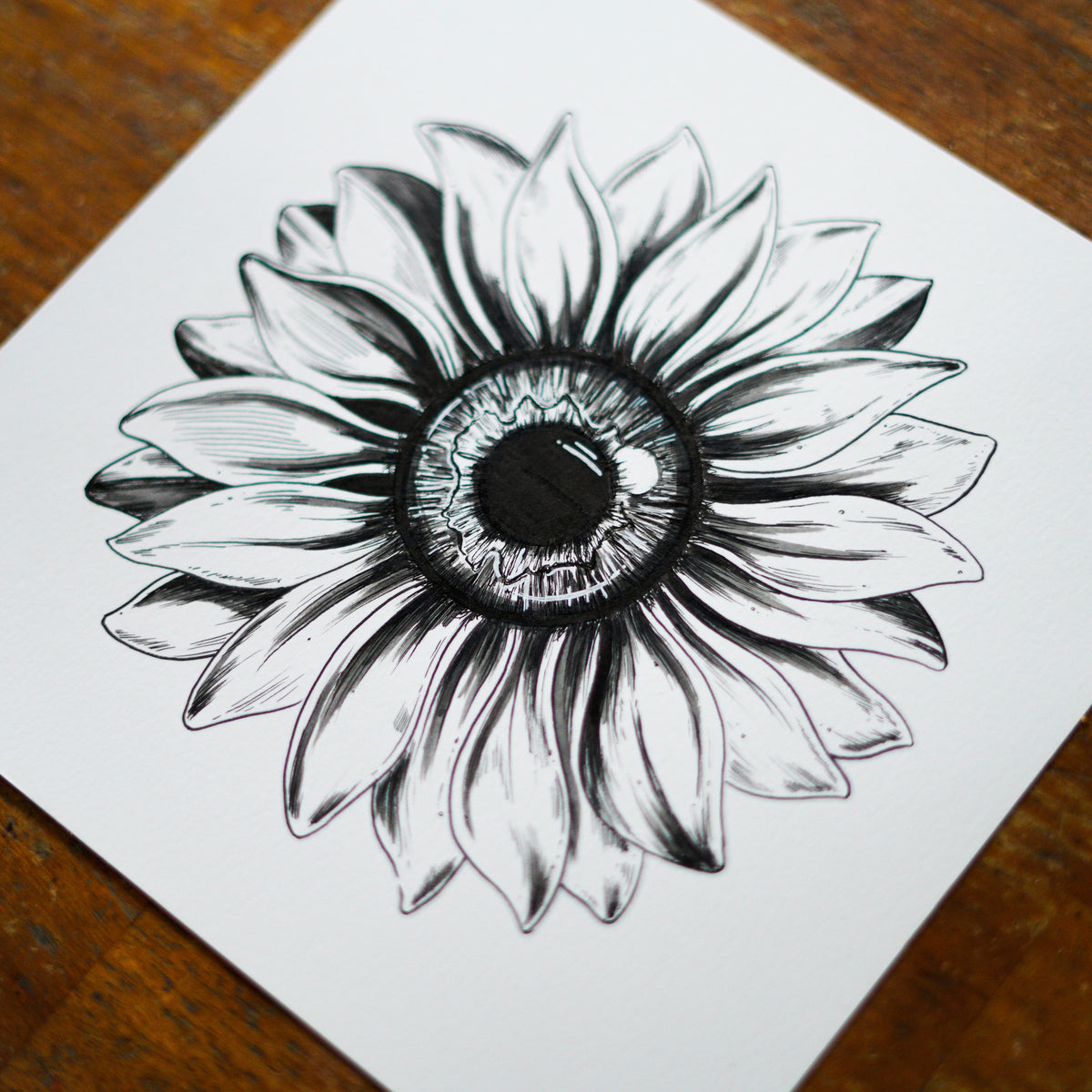 Sunflower Eye Original Drawing